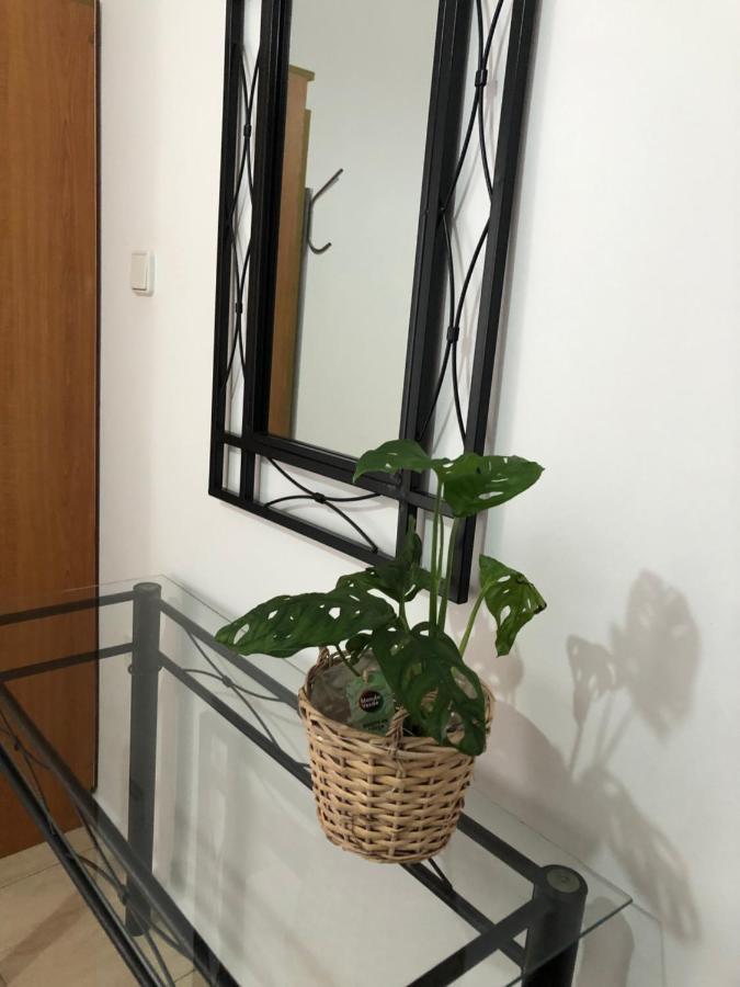Moschoula Studios Plaka Plaka  外观 照片